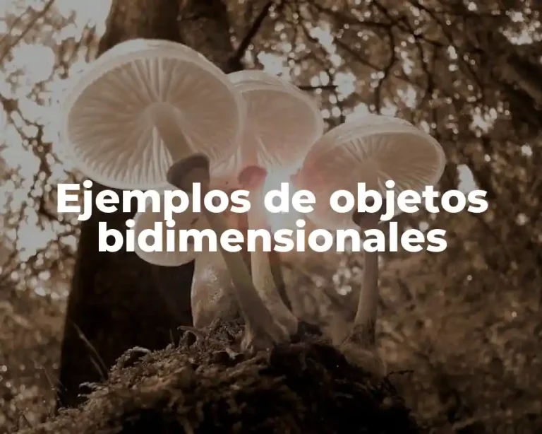 Ejemplos de objetos bidimensionales