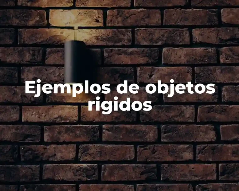 Ejemplos de objetos rigidos