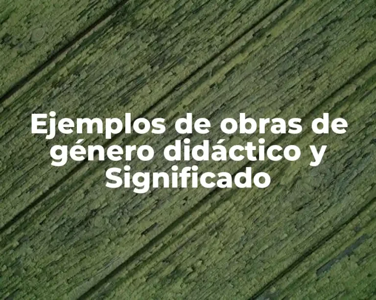 Ejemplos de obras de género didáctico y Significado