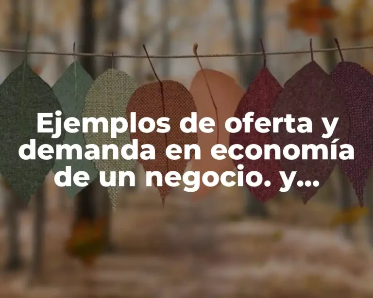 Ejemplos de oferta y demanda en economía de un negocio. y Significado