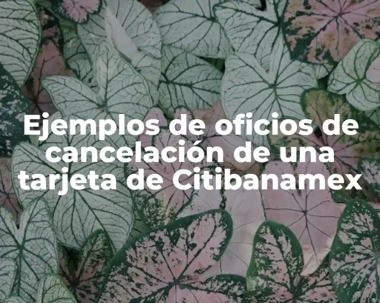 Ejemplos de oficios de cancelación de una tarjeta de Citibanamex