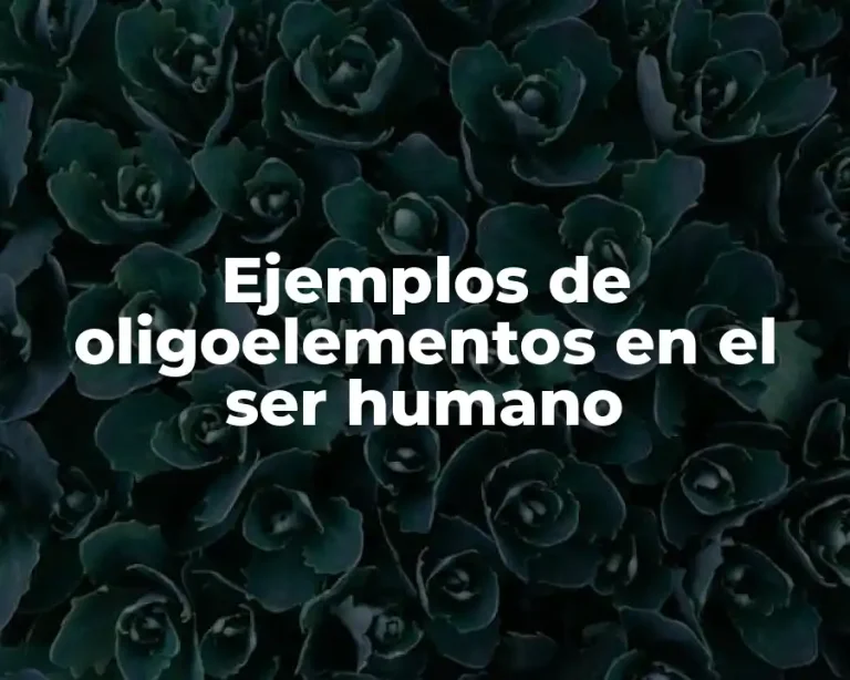 Ejemplos de oligoelementos en el ser humano
