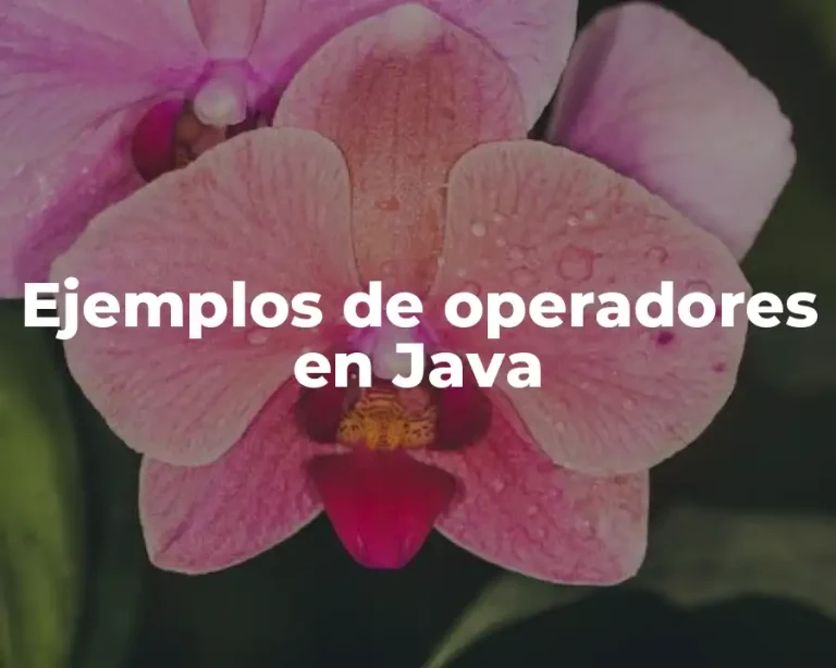 Ejemplos de operadores en Java