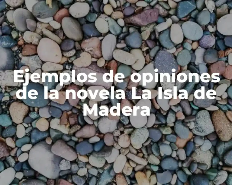 Ejemplos de opiniones de la novela La Isla de Madera