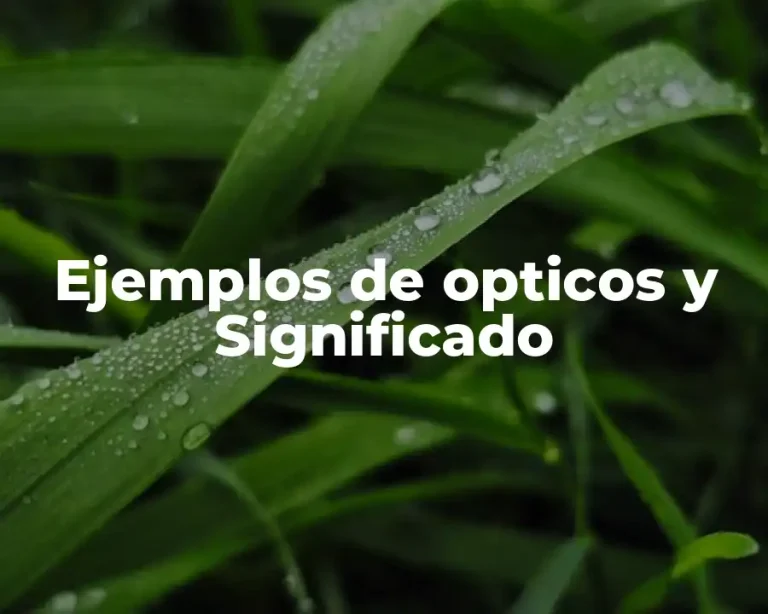 Ejemplos de opticos y Significado