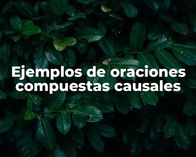 Ejemplos de oraciones compuestas causales