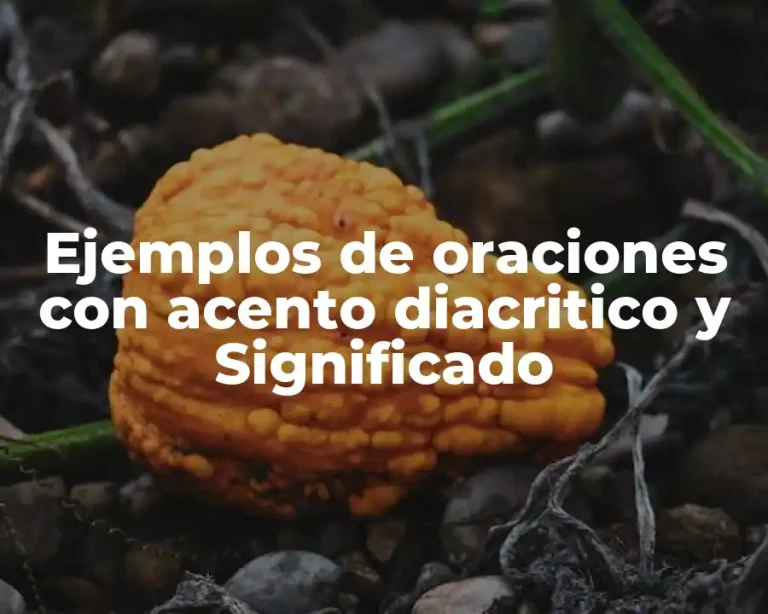 Ejemplos de oraciones con acento diacritico y Significado