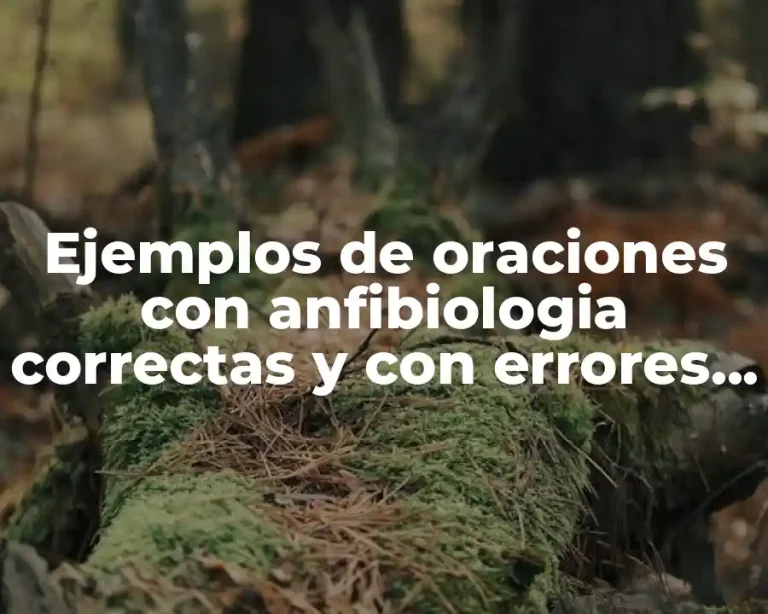 Ejemplos de oraciones con anfibiologia correctas y con errores y Significado