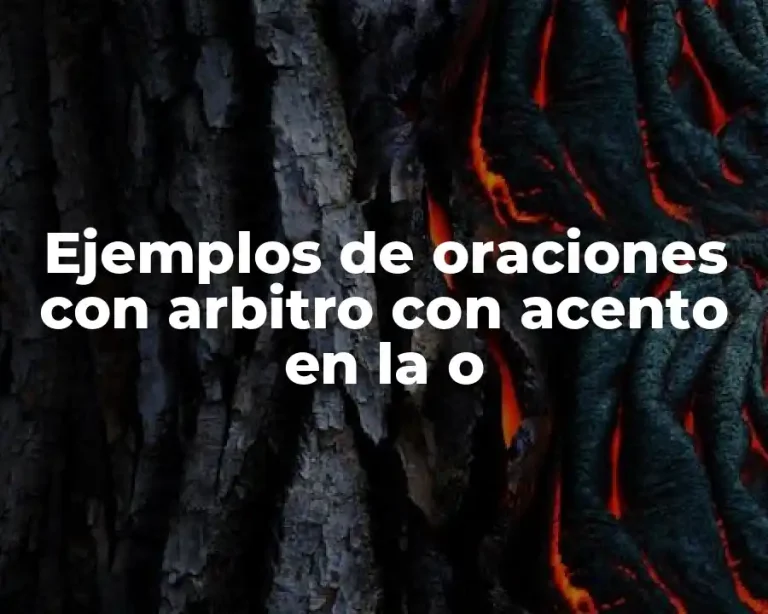 Ejemplos de oraciones con arbitro con acento en la o