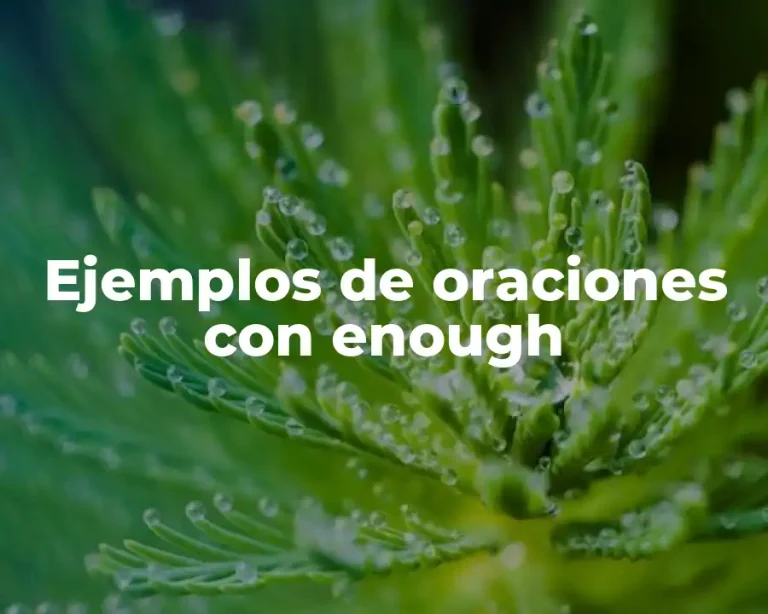 Ejemplos de oraciones con enough