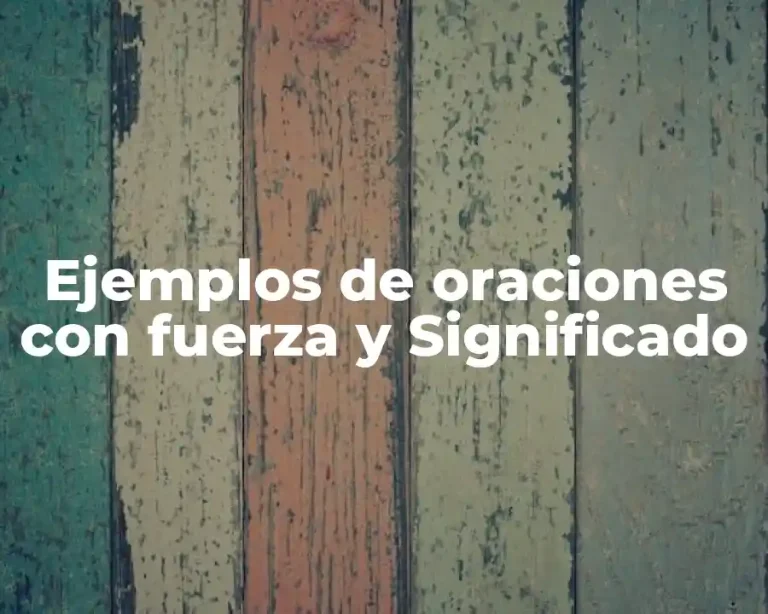 Ejemplos de oraciones con fuerza y Significado