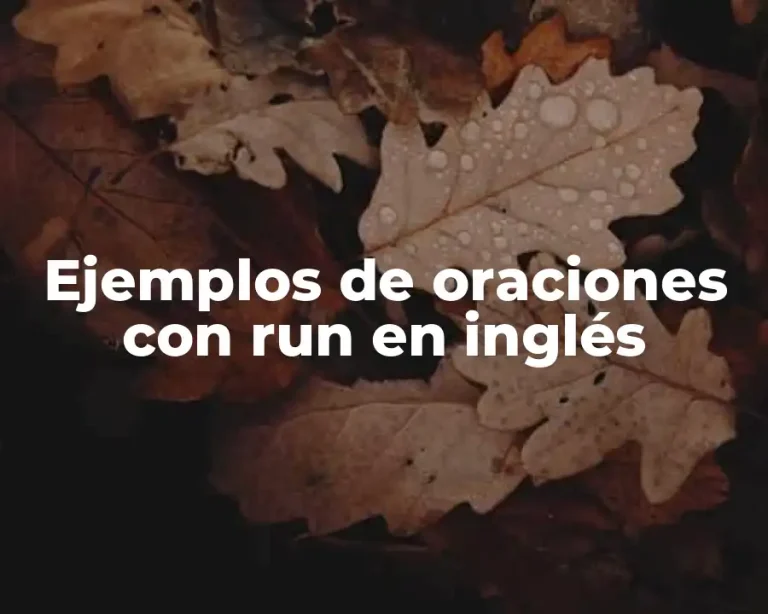 Ejemplos de oraciones con run en inglés