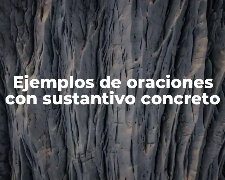 Ejemplos de oraciones con sustantivo concreto