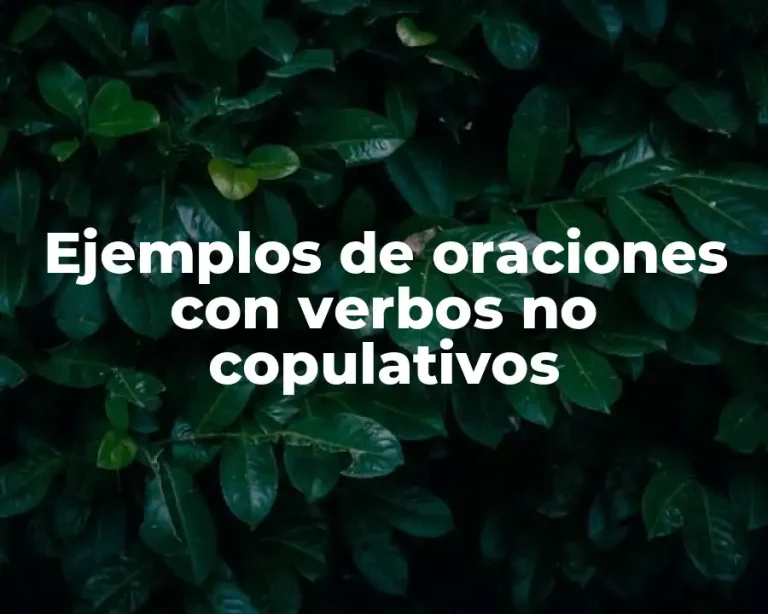 Ejemplos de oraciones con verbos no copulativos
