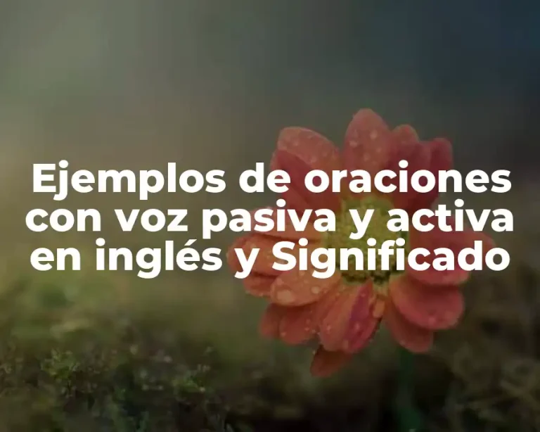 Ejemplos de oraciones con voz pasiva y activa en inglés y Significado
