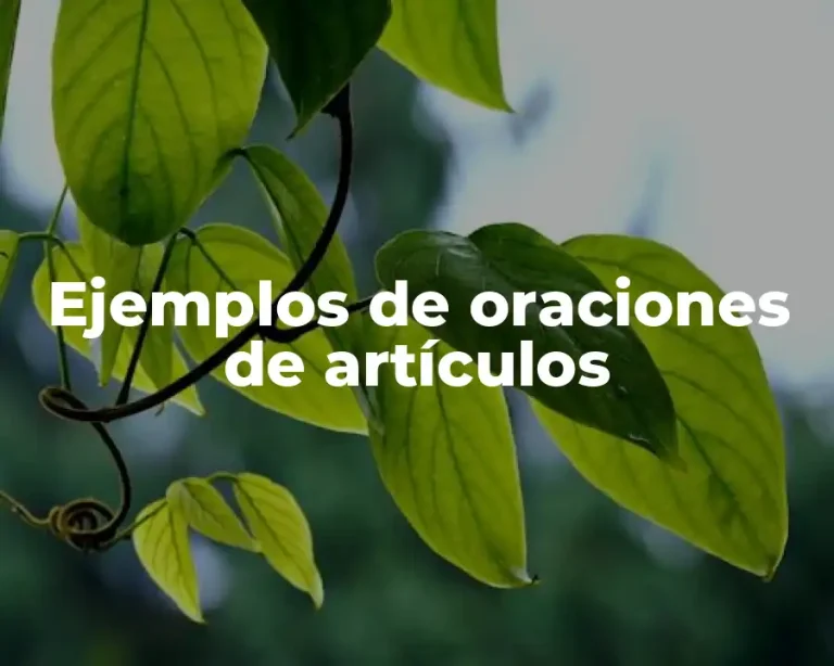 Ejemplos de oraciones de artículos