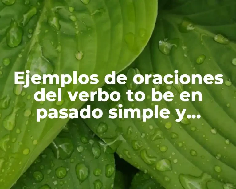 Ejemplos de oraciones del verbo to be en pasado simple y Significado