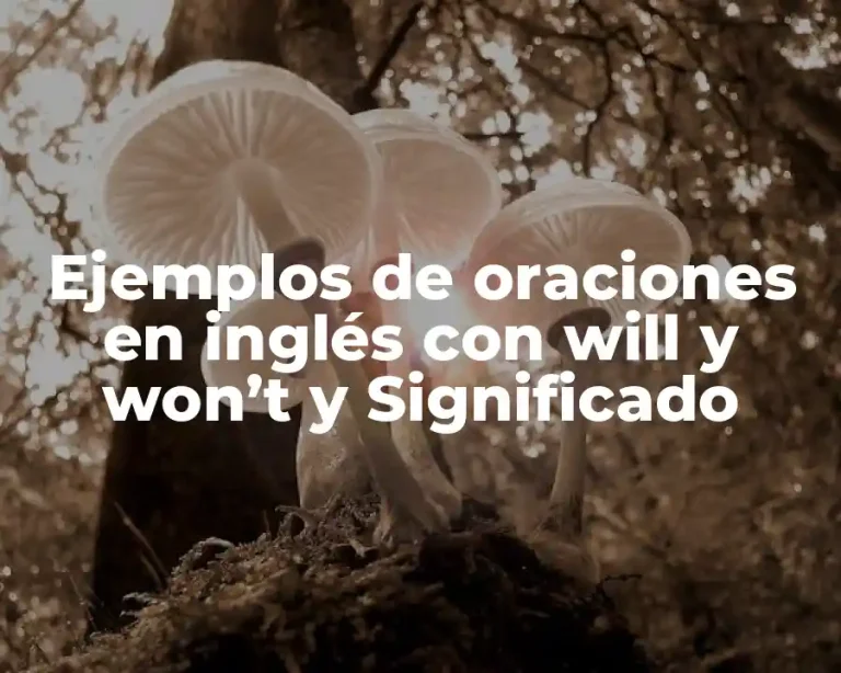 Ejemplos de oraciones en inglés con will y won’t y Significado