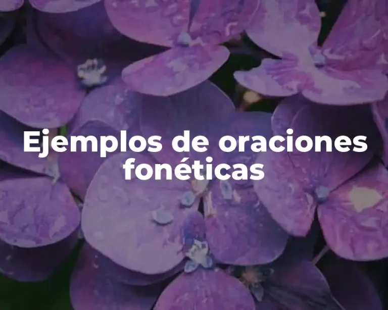 Ejemplos de oraciones fonéticas