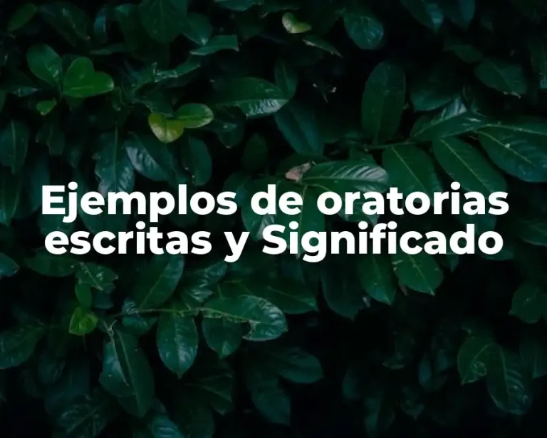 Ejemplos de oratorias escritas y Significado