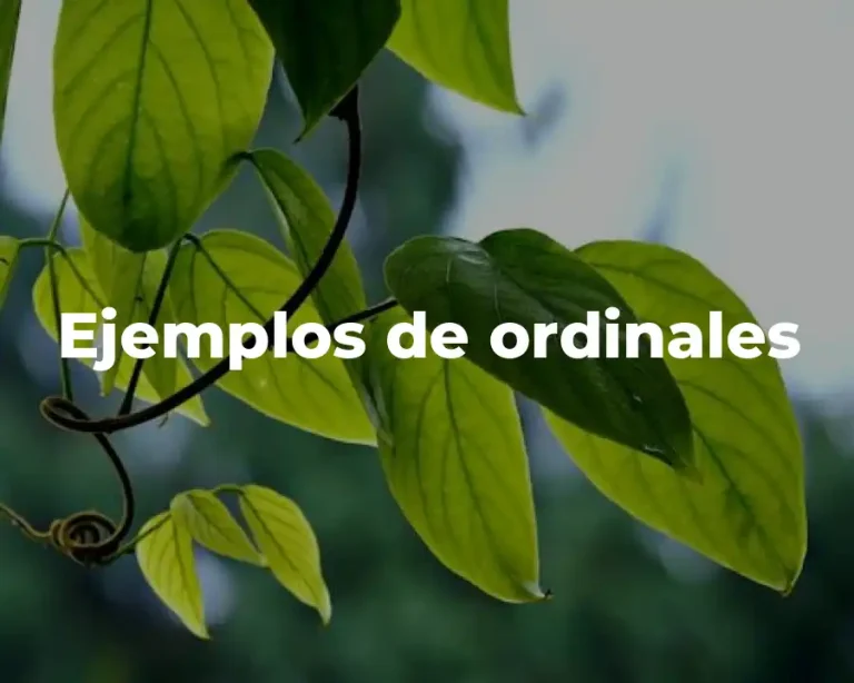Ejemplos de ordinales