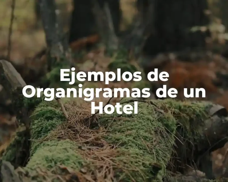 Ejemplos de Organigramas de un Hotel