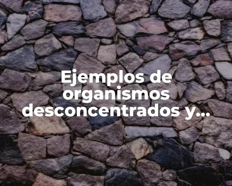 Ejemplos de organismos desconcentrados y descentralizados