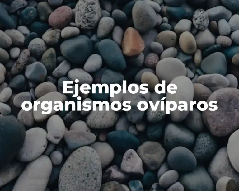 Ejemplos de organismos ovíparos