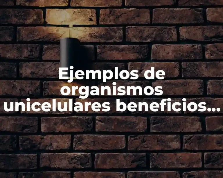 Ejemplos de organismos unicelulares beneficios para el ser humano