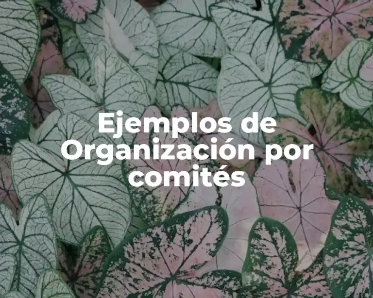 Ejemplos de Organización por comités