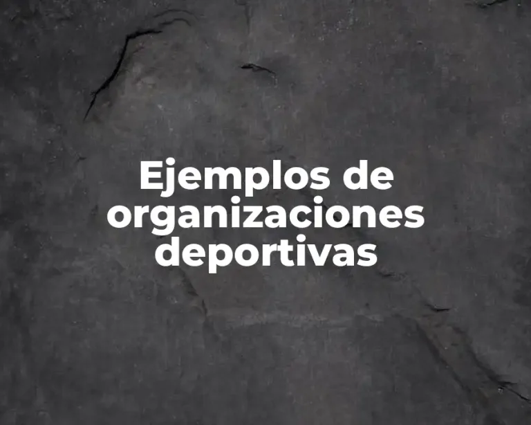 Ejemplos de organizaciones deportivas