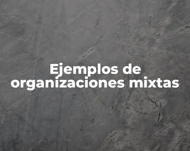 Ejemplos de organizaciones mixtas
