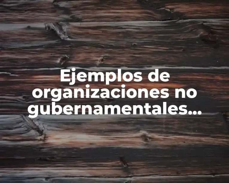 Ejemplos de organizaciones no gubernamentales internacionales
