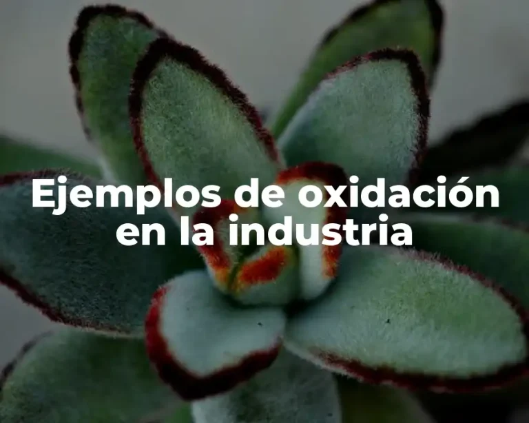 Ejemplos de oxidación en la industria