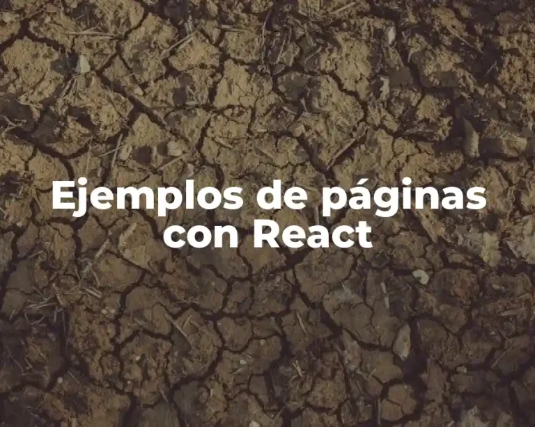 Ejemplos de páginas con React