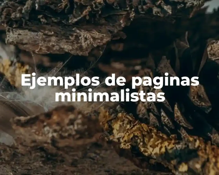 Ejemplos de paginas minimalistas