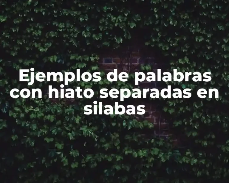 Ejemplos de palabras con hiato separadas en silabas