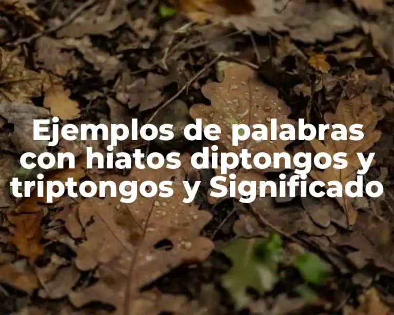 Ejemplos de palabras con hiatos diptongos y triptongos y Significado