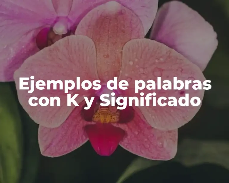 Ejemplos de palabras con K y Significado