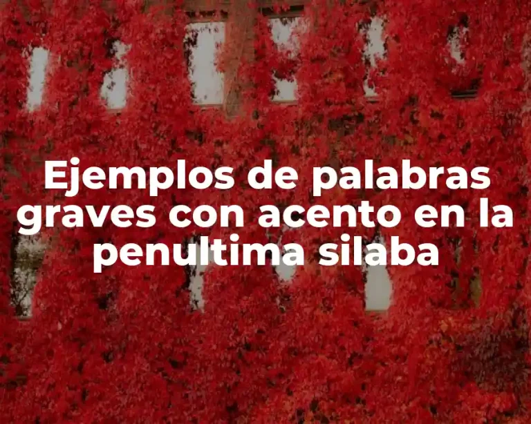 Ejemplos de palabras graves con acento en la penultima silaba