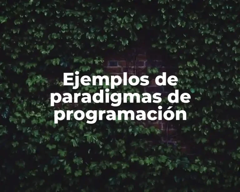 Ejemplos de paradigmas de programación