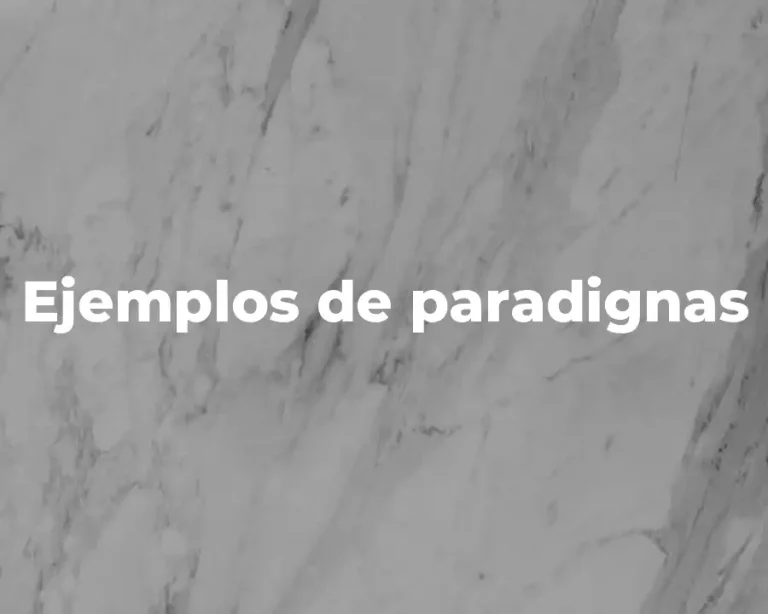 Ejemplos de paradignas