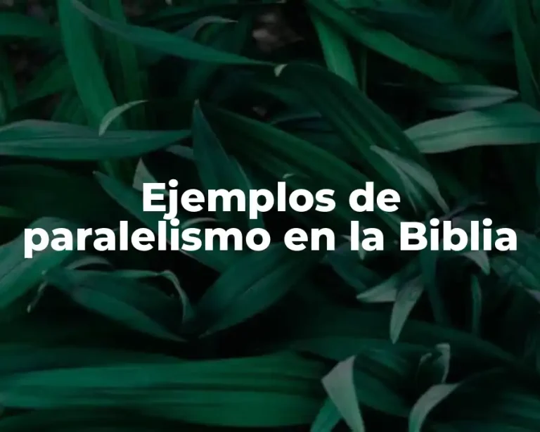 Ejemplos de paralelismo en la Biblia
