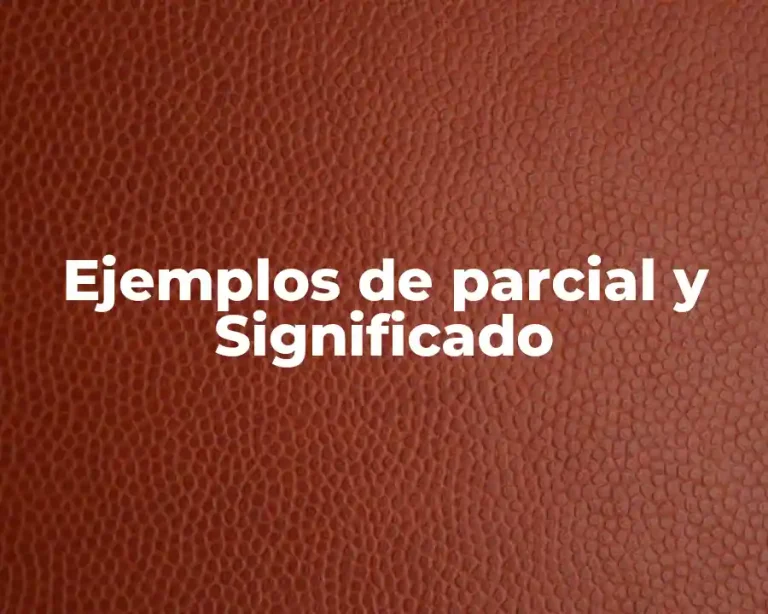 Ejemplos de parcial y Significado
