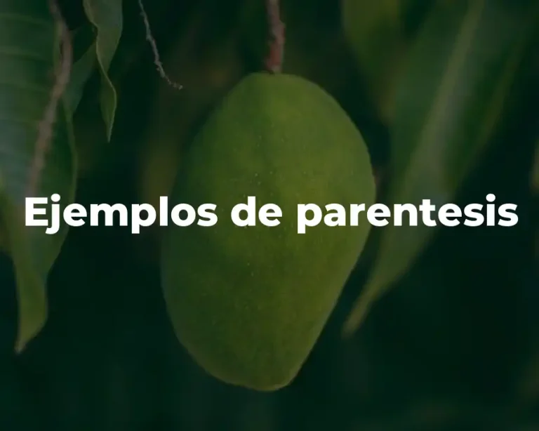 Ejemplos de parentesis