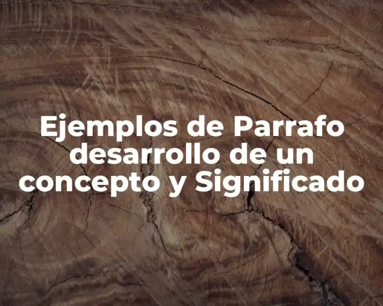 Ejemplos de Parrafo desarrollo de un concepto y Significado