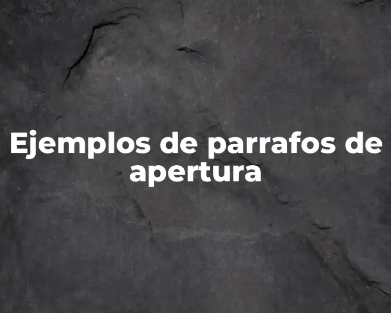 Ejemplos de parrafos de apertura