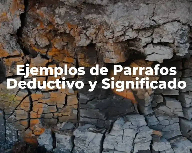 Ejemplos de Parrafos Deductivo y Significado