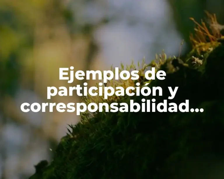 Ejemplos de participación y corresponsabilidad ciudadana en materia de