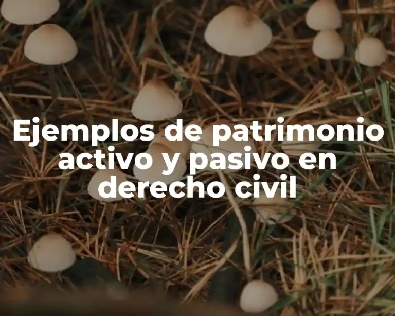 Ejemplos de patrimonio activo y pasivo en derecho civil
